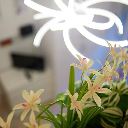 Isola Brera Duomo - Antica Atmosfera - Lovable Cozy Apartment 米兰 外观 照片