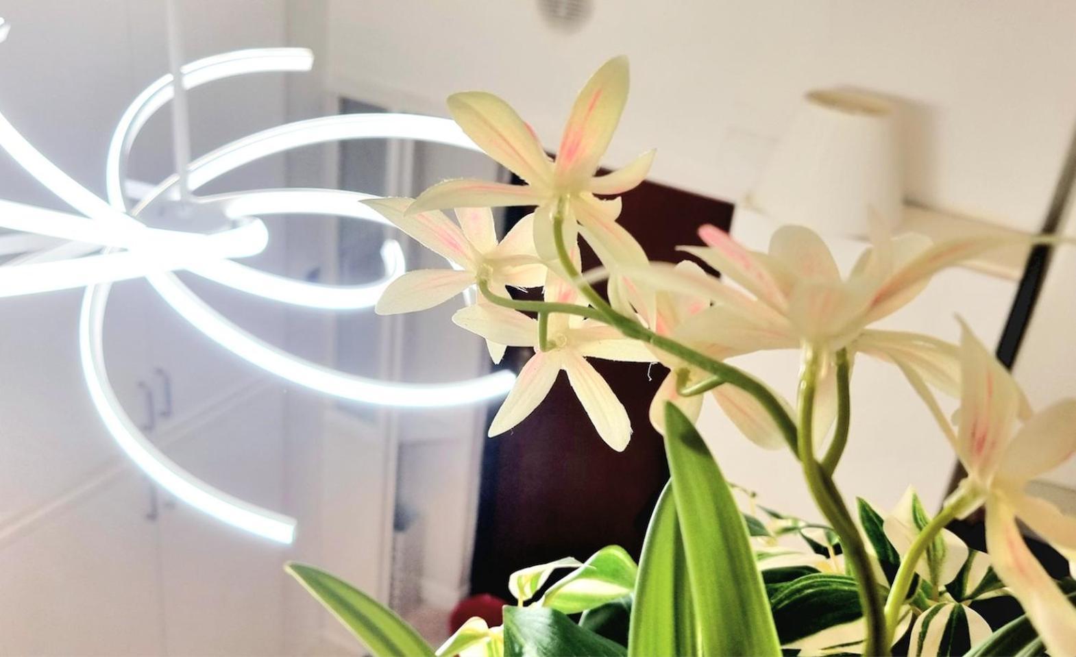 Isola Brera Duomo - Antica Atmosfera - Lovable Cozy Apartment 米兰 外观 照片