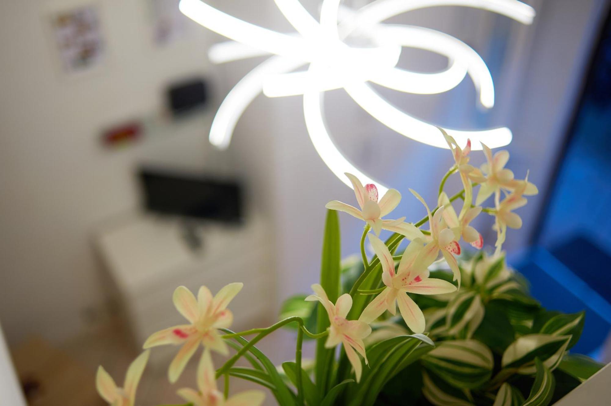Isola Brera Duomo - Antica Atmosfera - Lovable Cozy Apartment 米兰 外观 照片