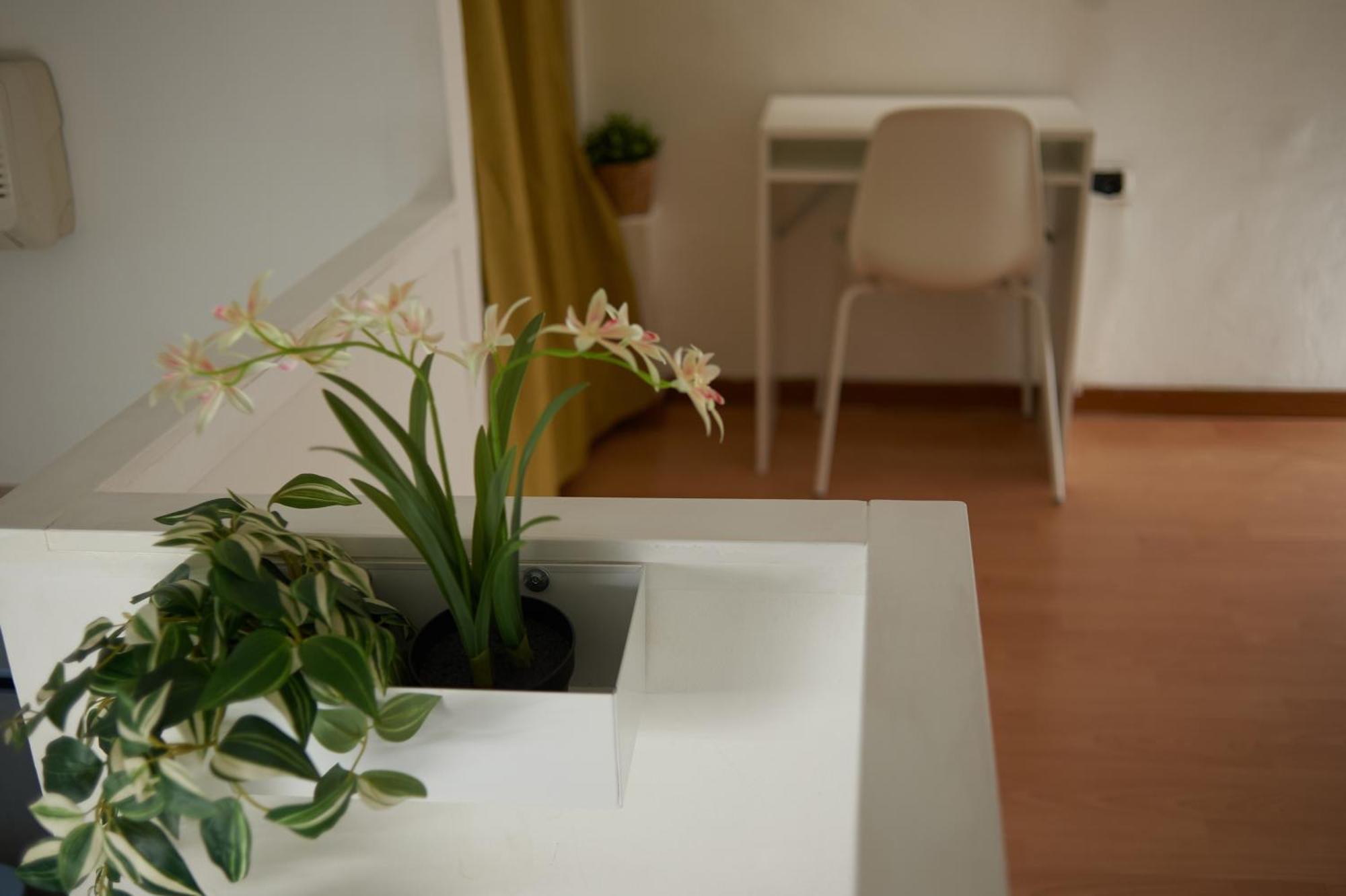 Isola Brera Duomo - Antica Atmosfera - Lovable Cozy Apartment 米兰 外观 照片